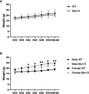 Exploration of the skeletal phenotype of the Col1a1+/Mov13 mouse model for haploinsufficient osteogenesis imperfecta type 1